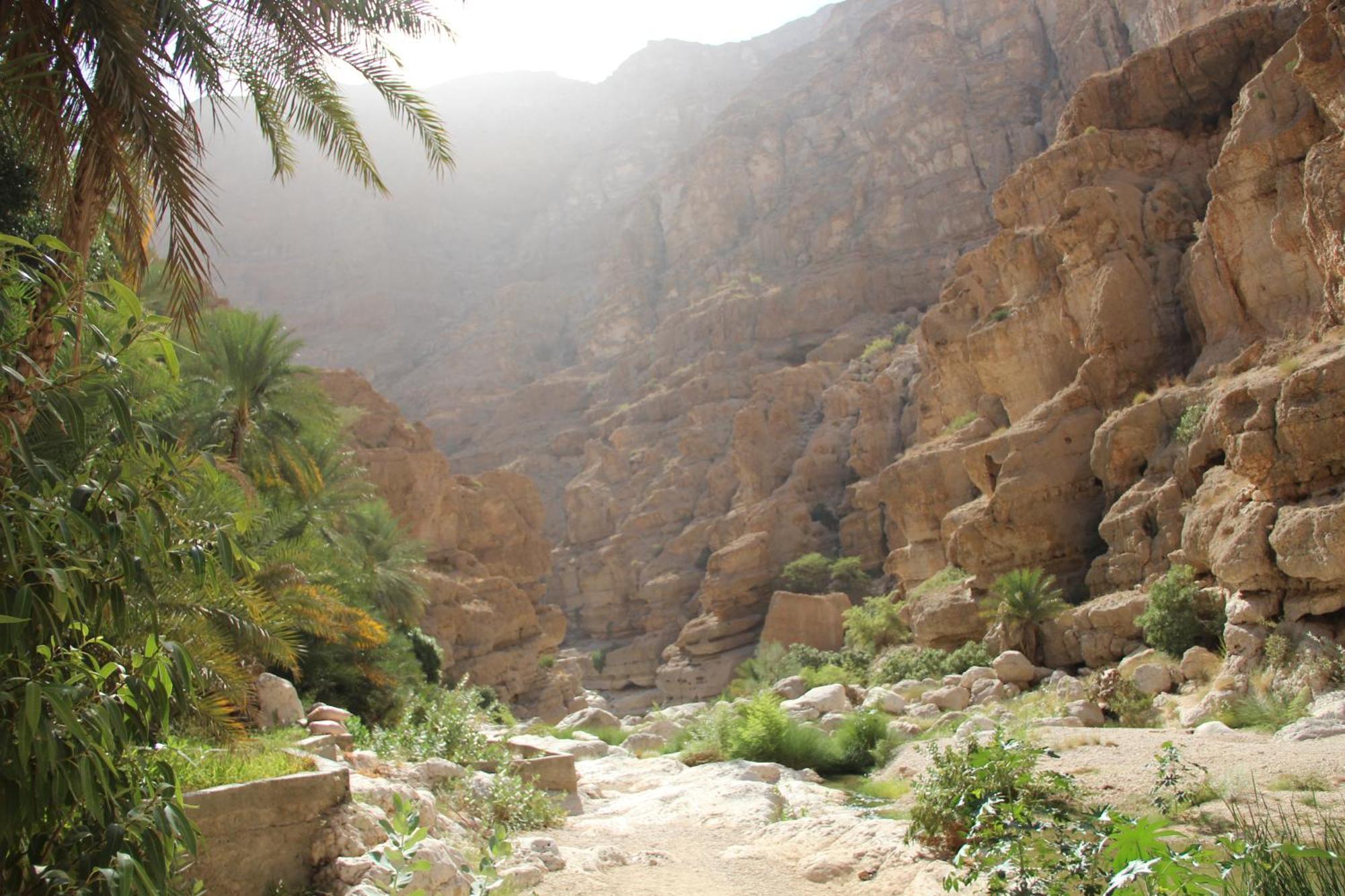 Wadi Shab Guest House Tiwi Luaran gambar