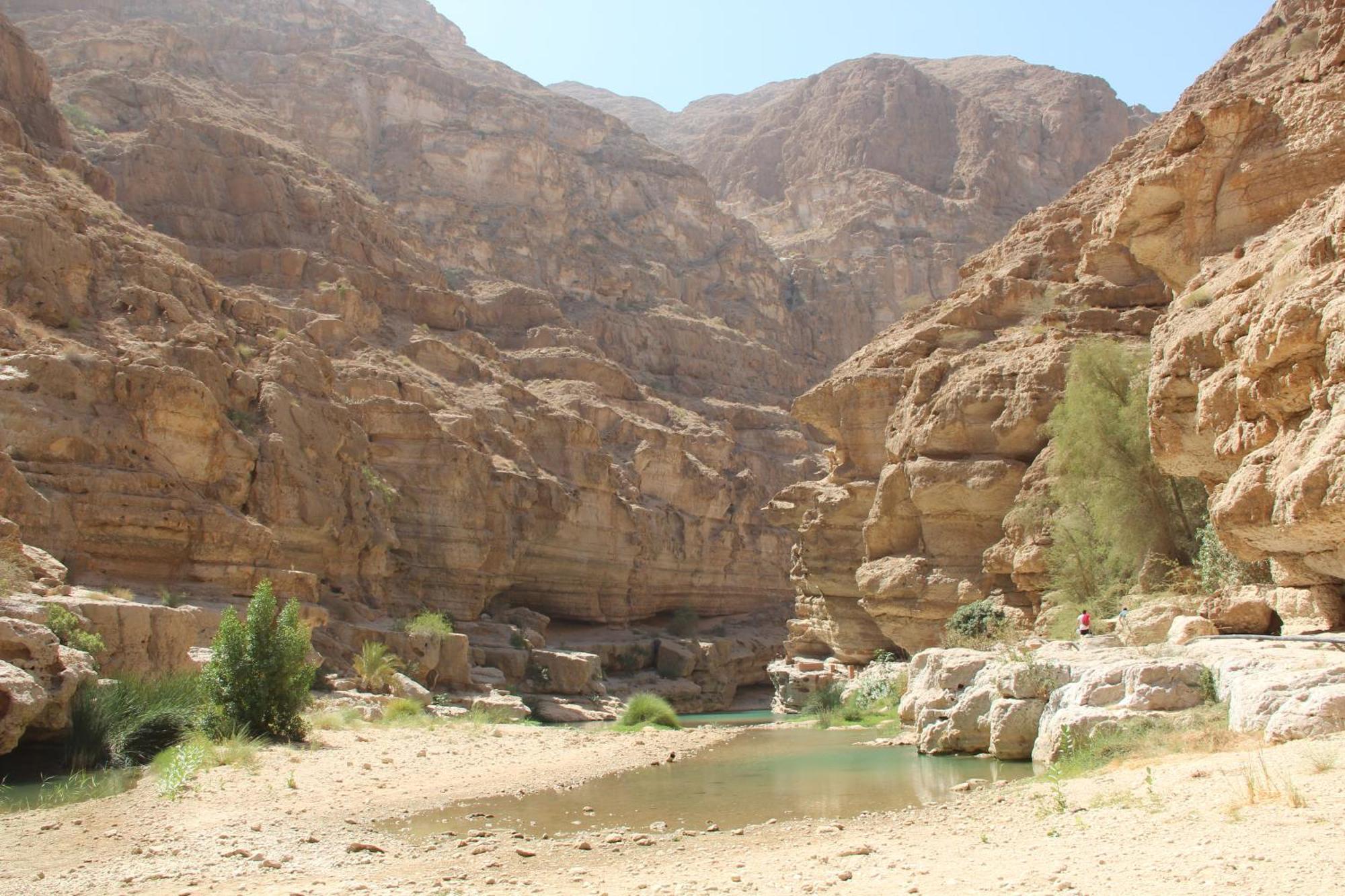 Wadi Shab Guest House Tiwi Luaran gambar